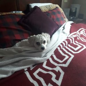 Meet your Posher, Amy joey